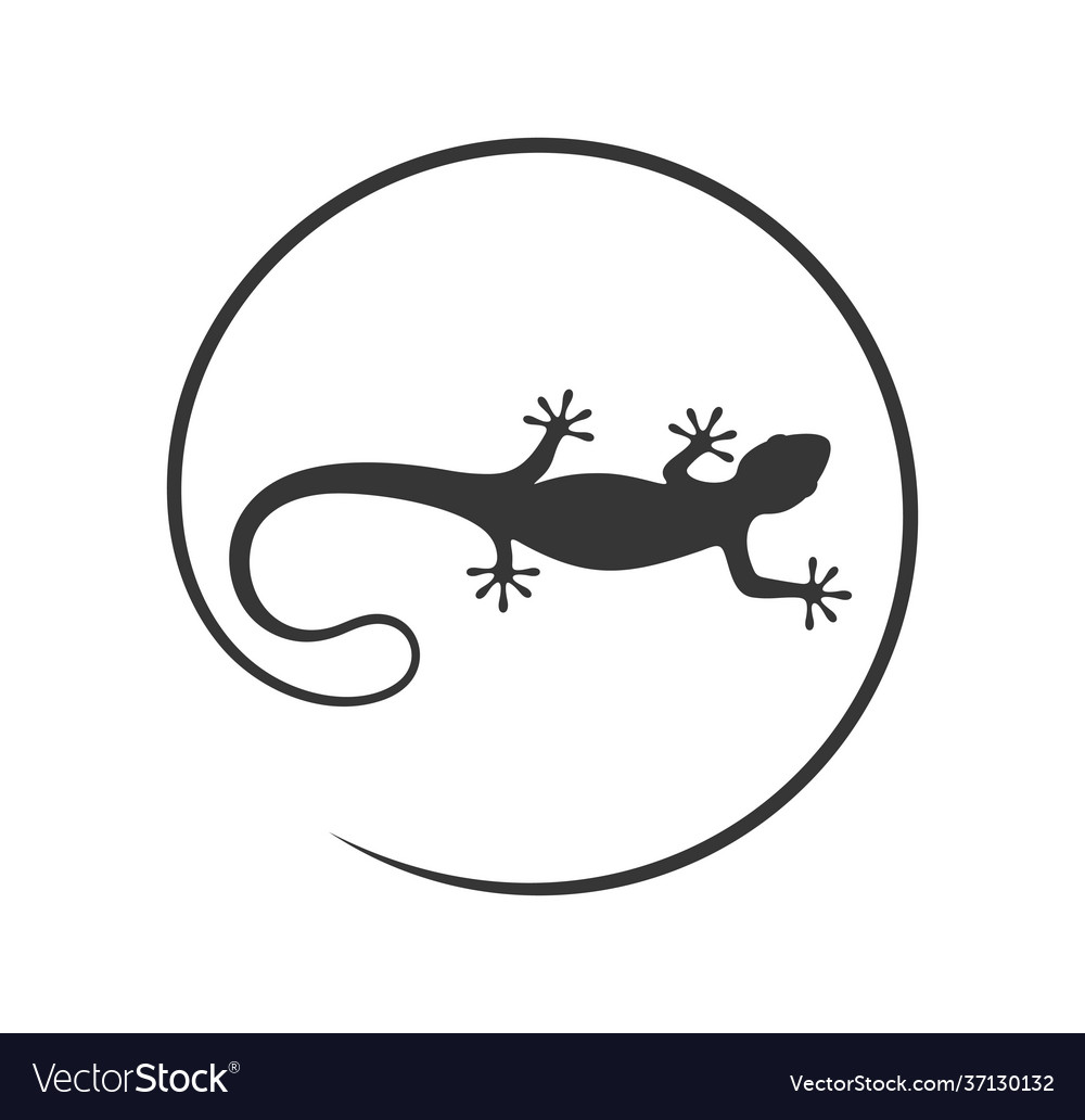 Lizard