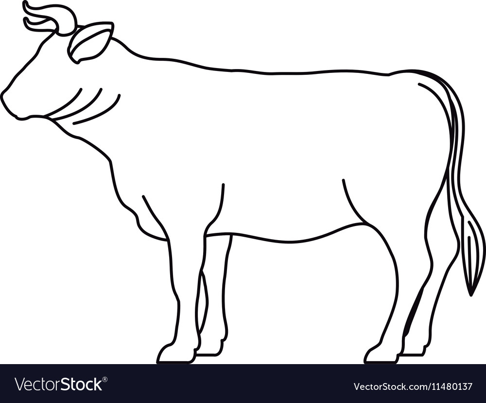 Cow livestock animal design Royalty Free Vector Image