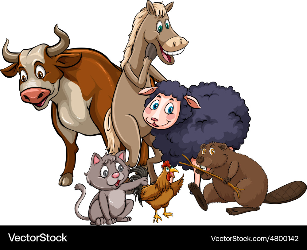 Animals Royalty Free Vector Image - VectorStock