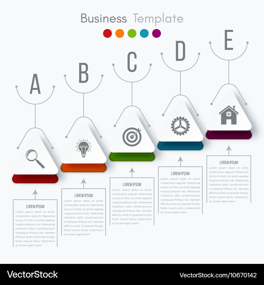 Infographic Royalty Free Vector Image - VectorStock