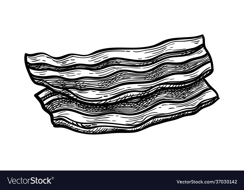 Ink sketch fried bacon Royalty Free Vector Image