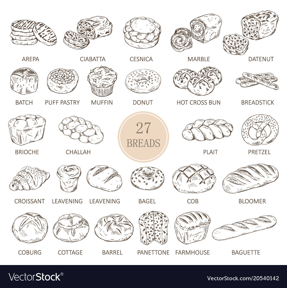 Isolated Sketches Of Bread Types Royalty Free Vector Image