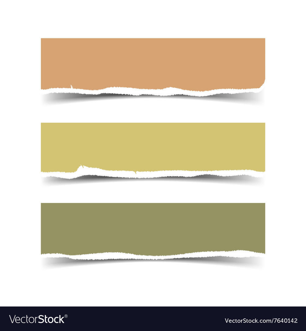 Torn paper Royalty Free Vector Image - VectorStock