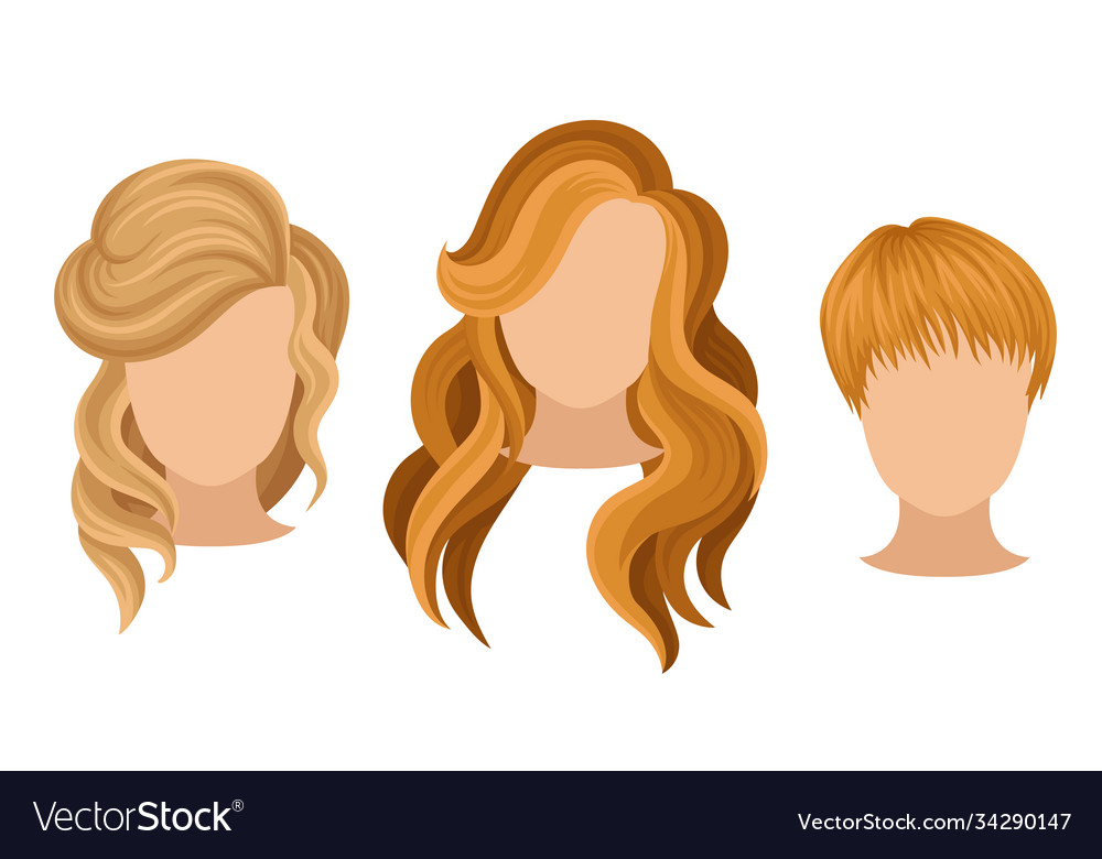 Different hairstyle and haircuts for females Vector Image Different hairstyle and haircuts for females Vector Image