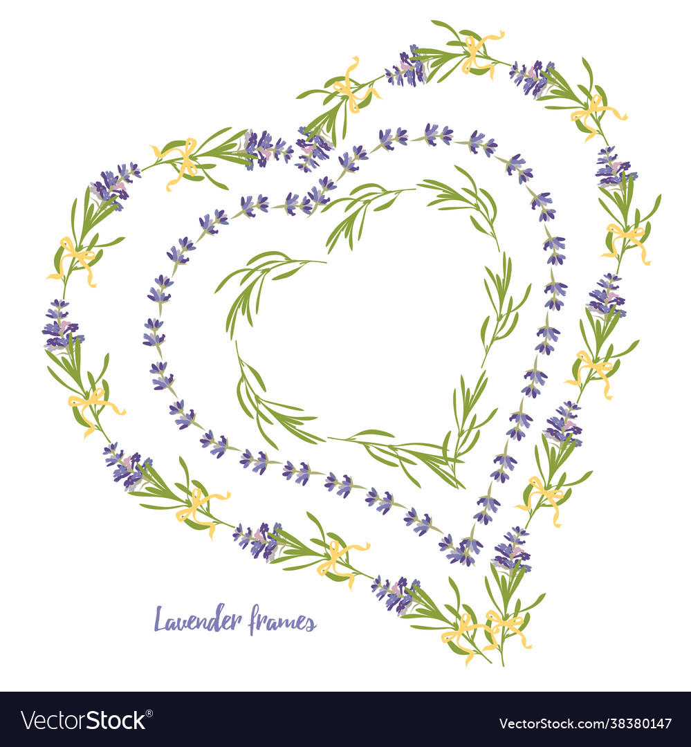 Set violet lavender beautiful floral frames Vector Image