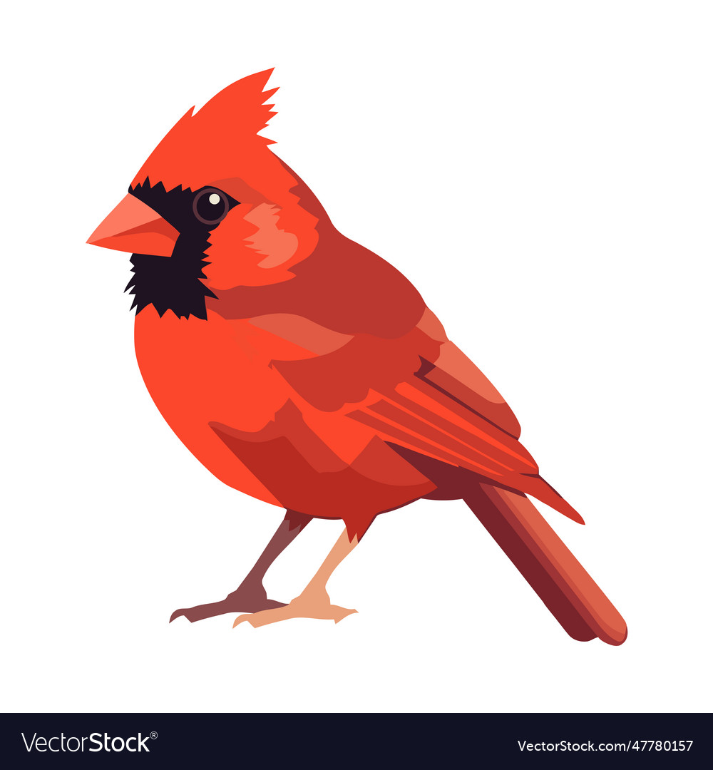 Small red sparrow on white background Royalty Free Vector