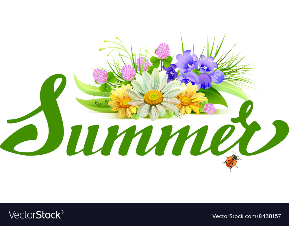 Summer lettering text bouquet of wild flowers Vector Image