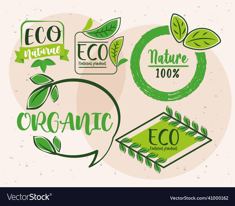 Five eco labels Royalty Free Vector Image - VectorStock