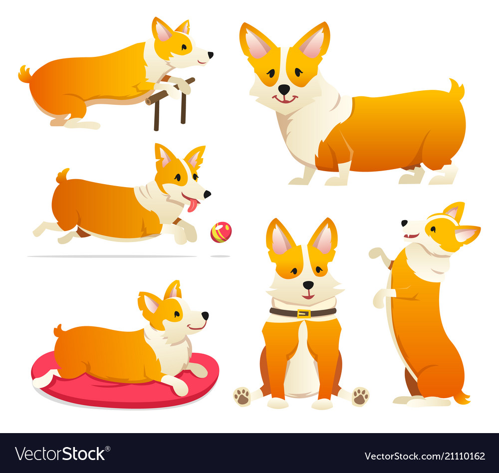 Set of cute dogs breed welsh corgi pembroke Vector Image