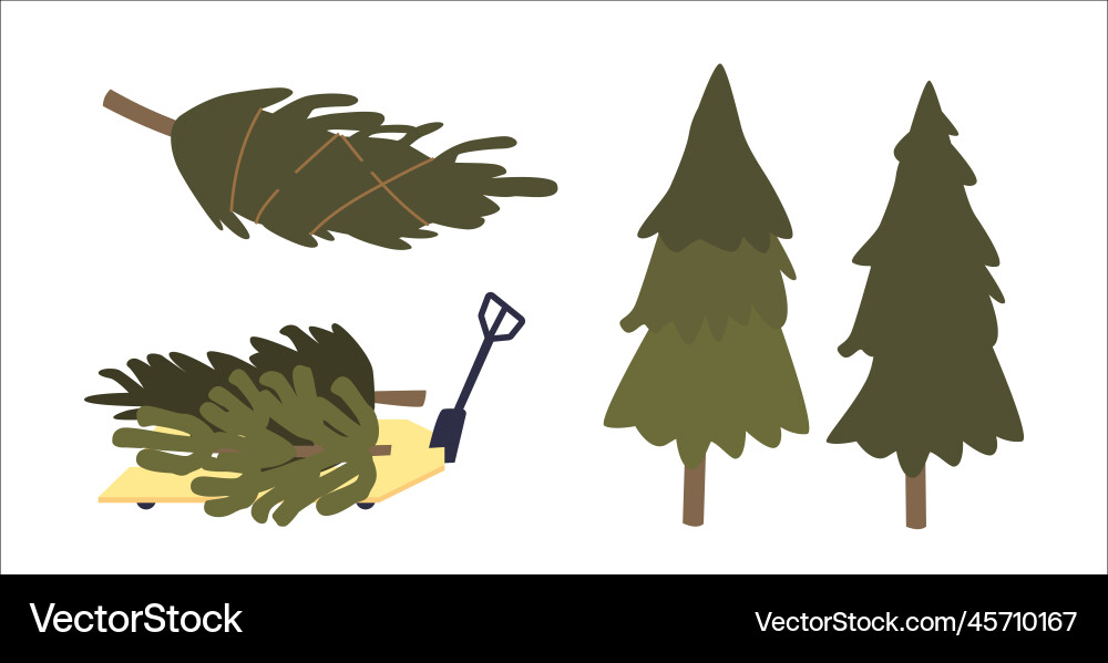 Cutting and transportation of pine tree in forest Vector Image