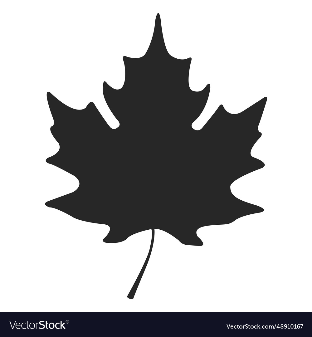 Maple leave silhouette Royalty Free Vector Image