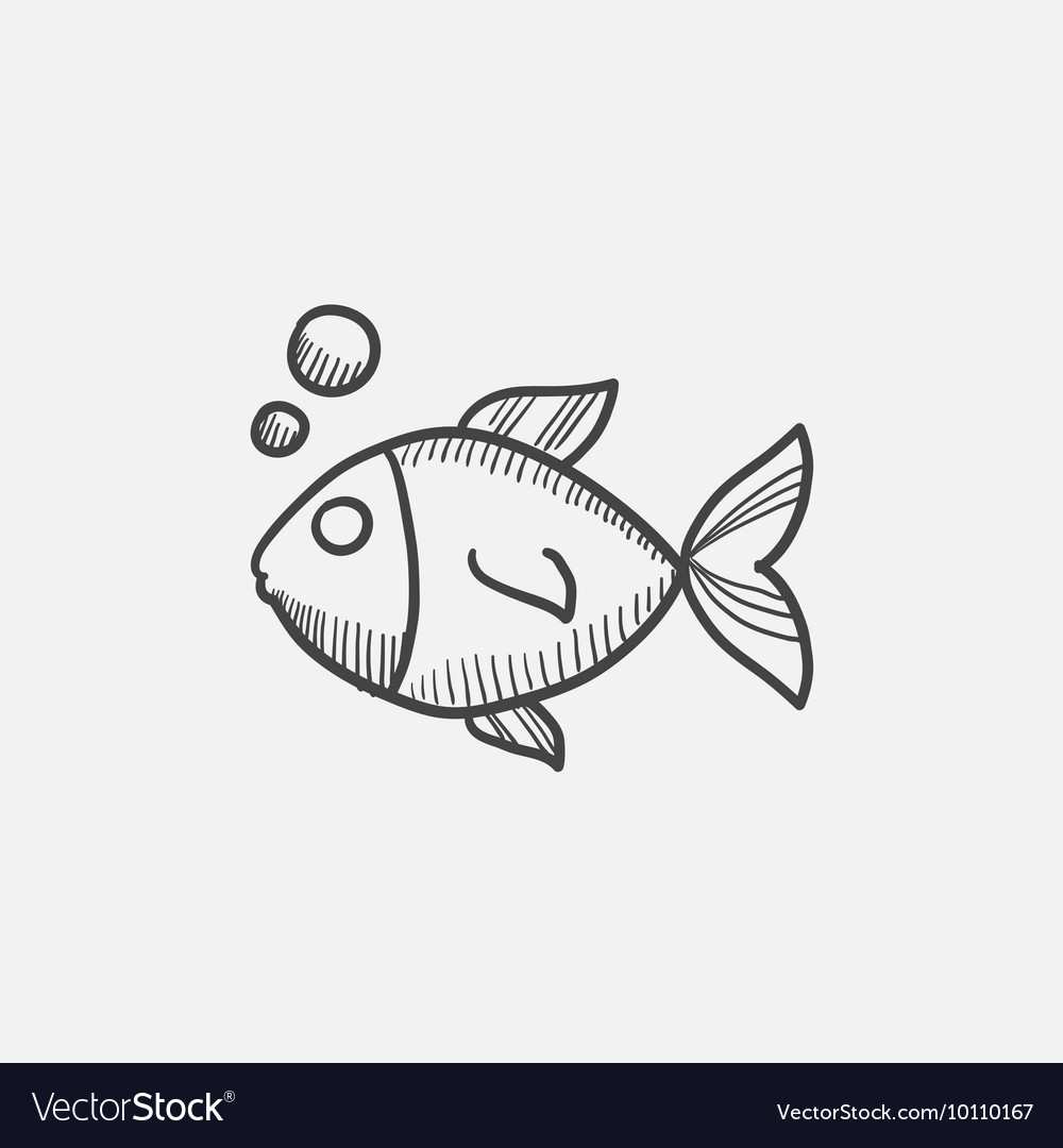 fish sketches