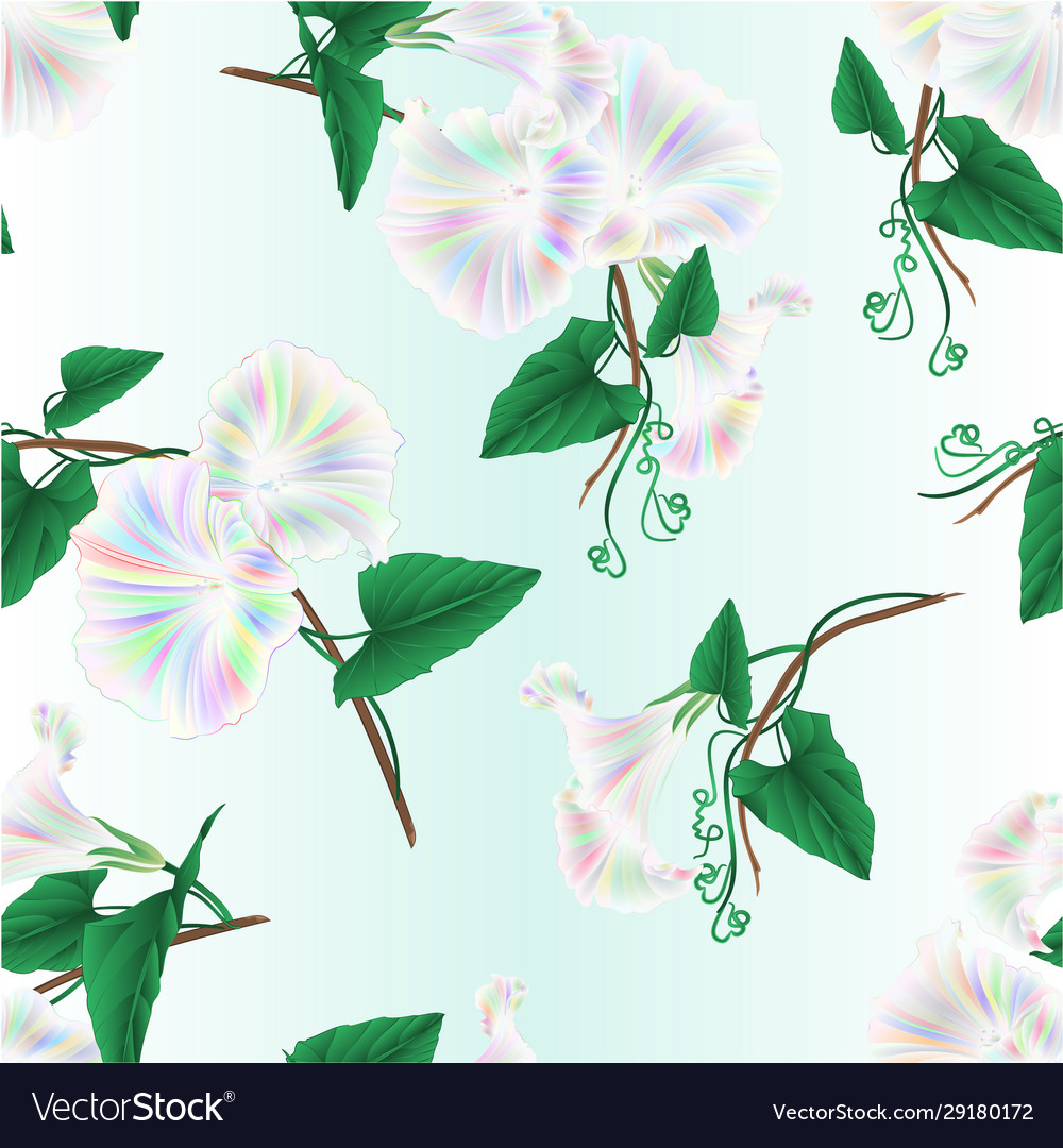 Seamless texture morning glory multi colored Vector Image