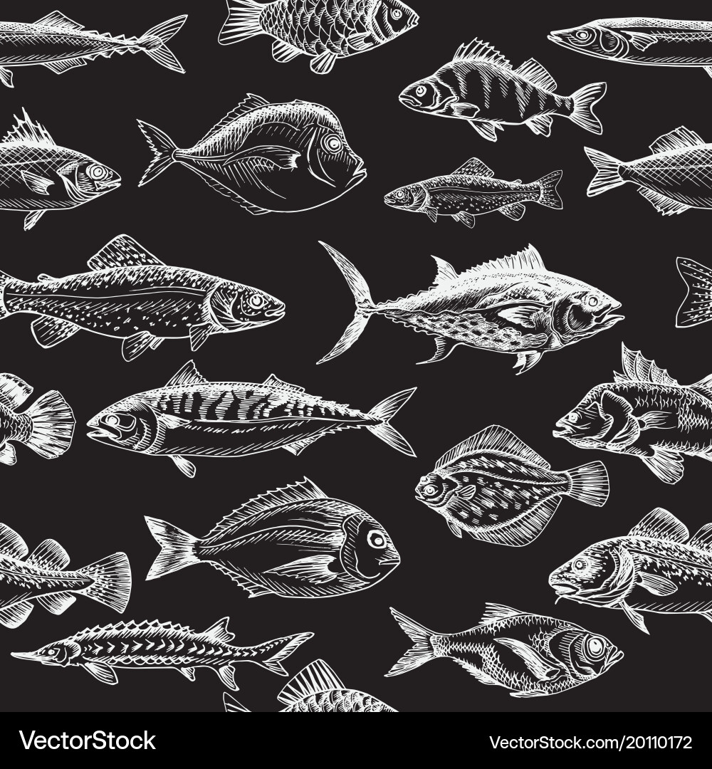 Realistic Fish Pattern Sketch - fish pattern Royalty Free Vector Image