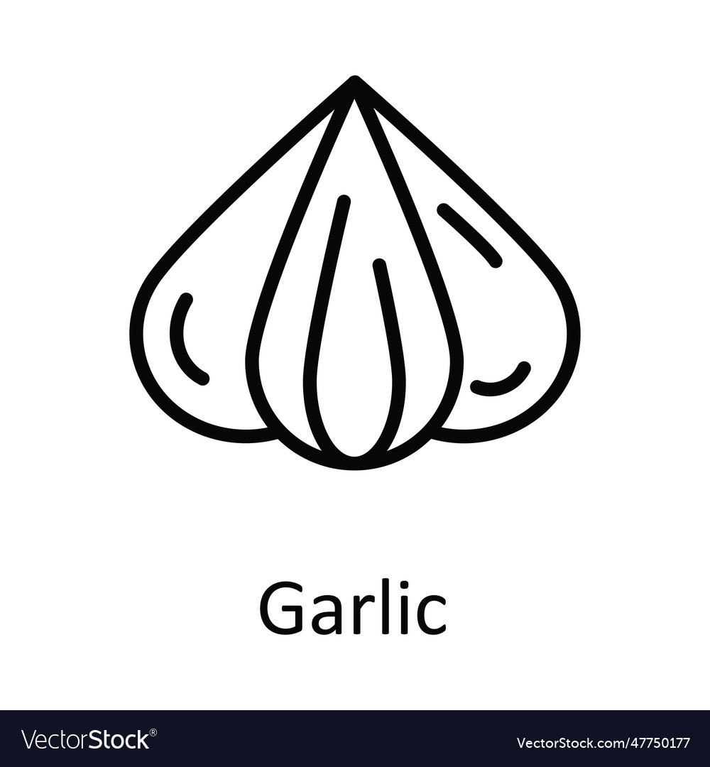 Garlic outline icon design fo Royalty Free Vector Image