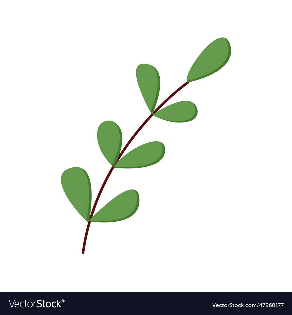 Spring branch with fresh green leaves Royalty Free Vector