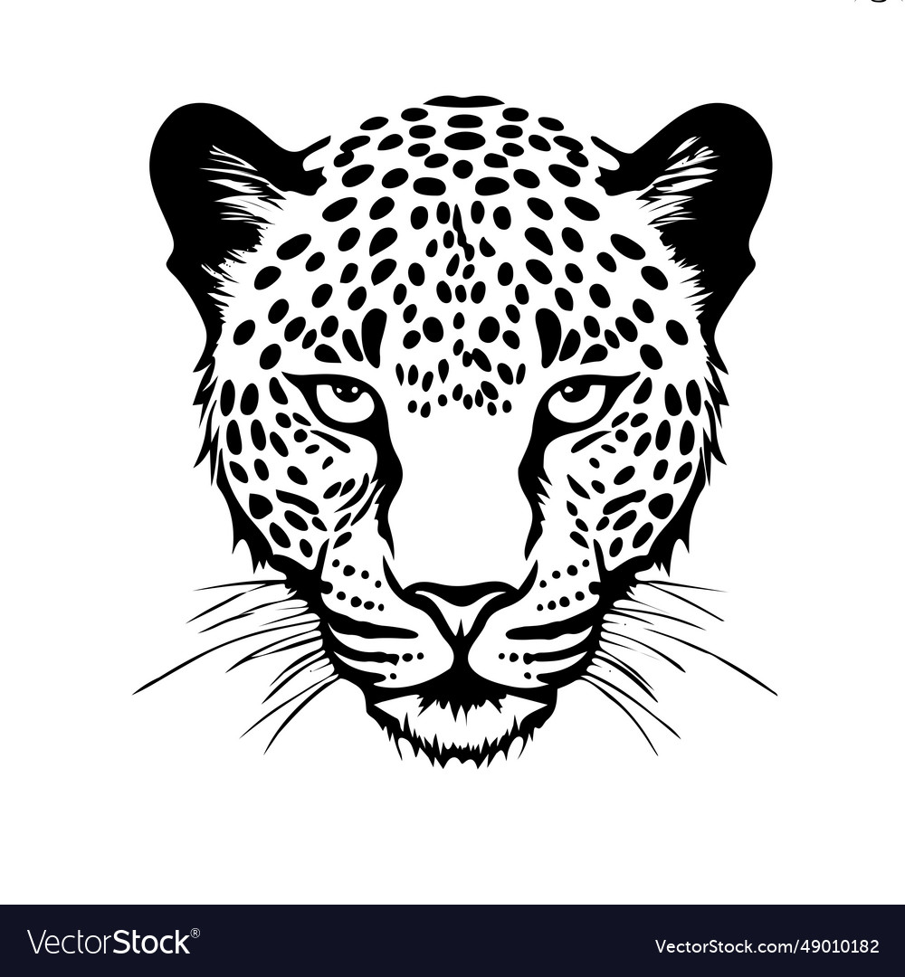 Leopard image Royalty Free Vector Image - VectorStock