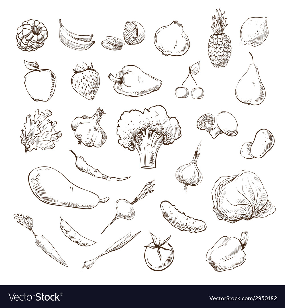 Vegetables and fruits drawing Royalty Free Vector Image