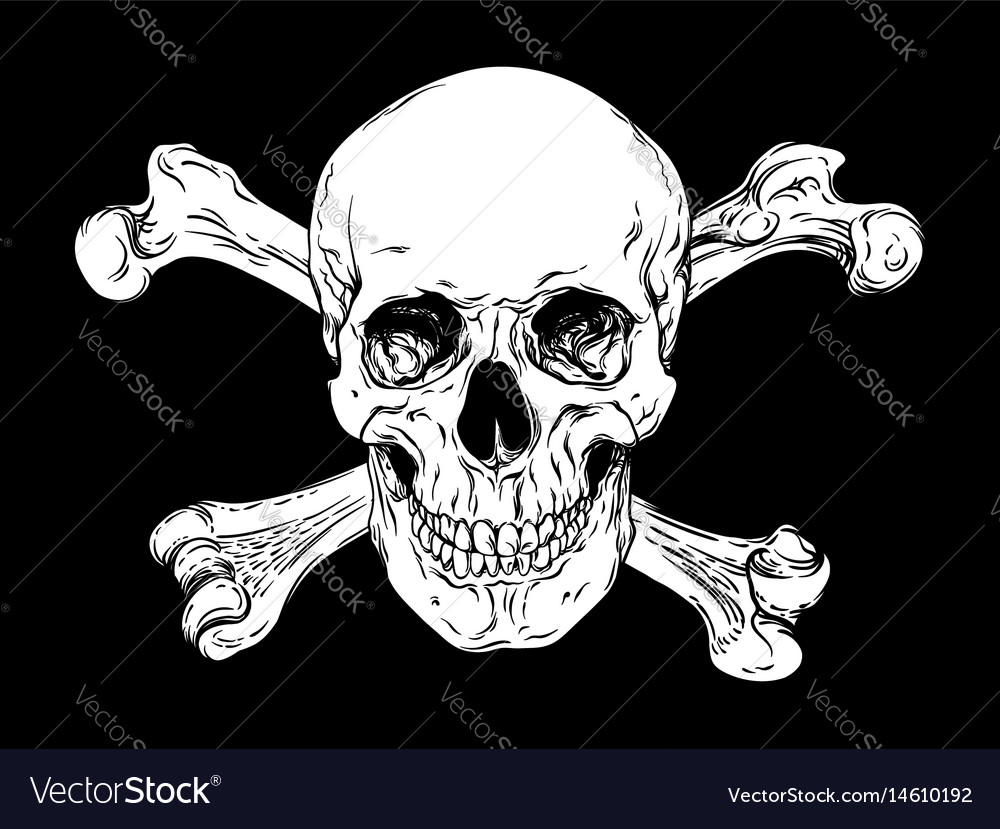 Human skull with crossbones jolly roger Royalty Free Vector