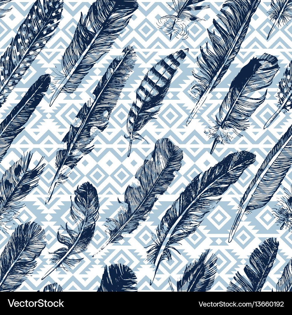 Seamless pattern with hand drawn feathers Vector Image