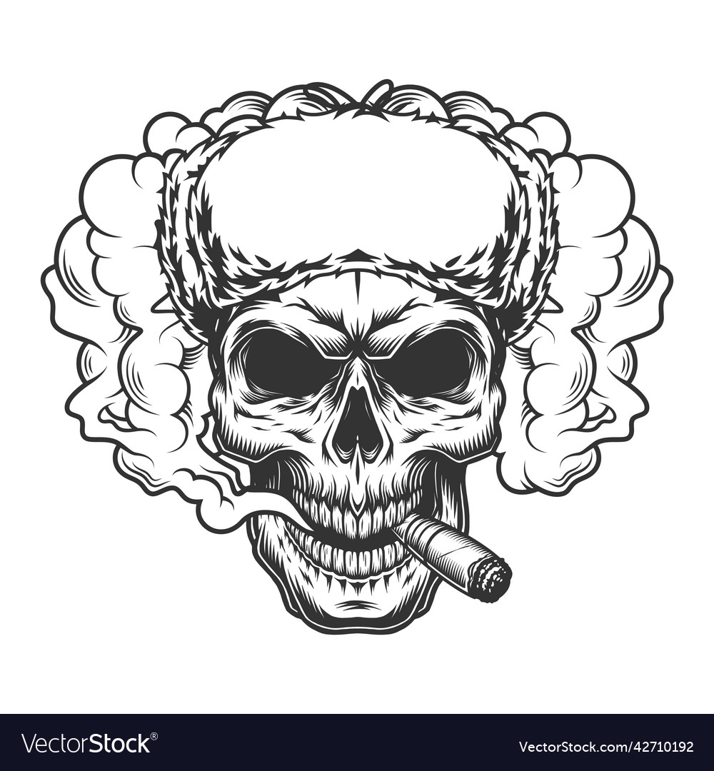 Skull in smoke cloud Royalty Free Vector Image