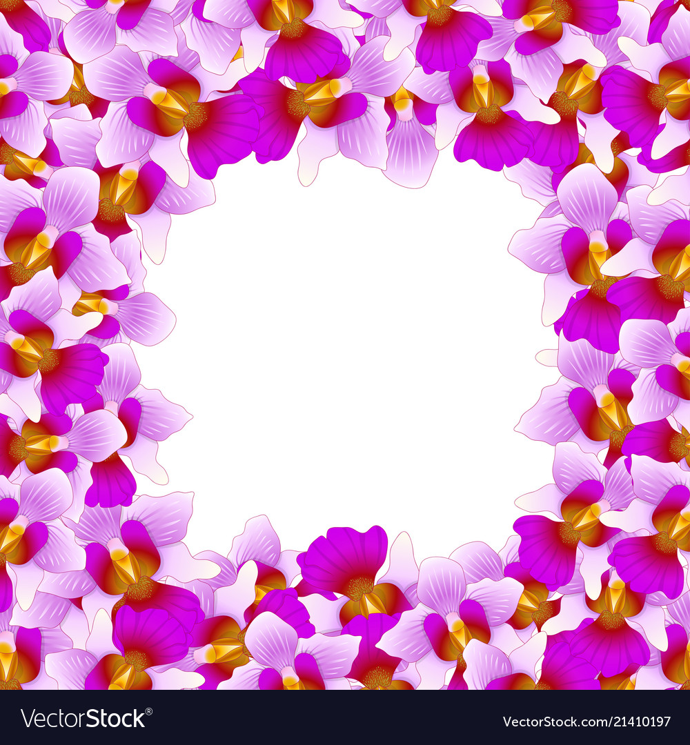 Purple vanda miss joaquim orchid border2 Vector Image