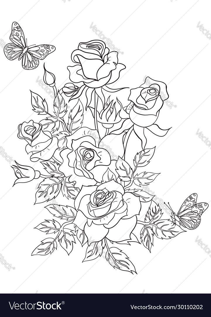 Coloring Page With Roses And Butterflies Vector Image Grab these butterfly coloring pages. vectorstock