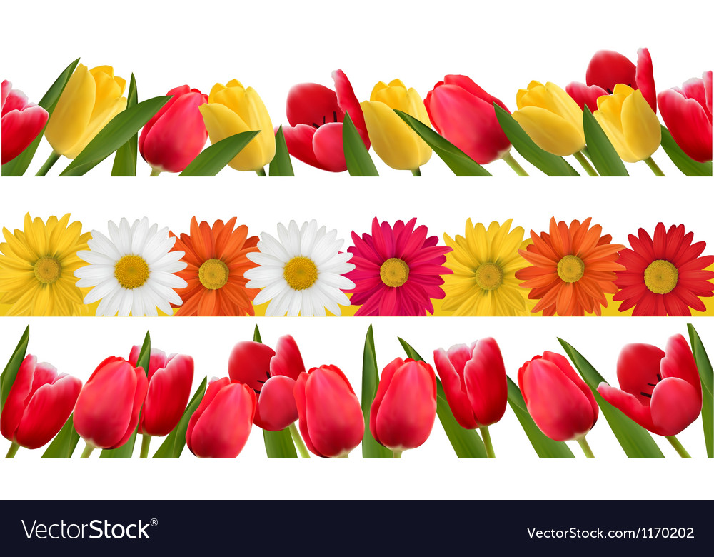 Spring Clip Art Border