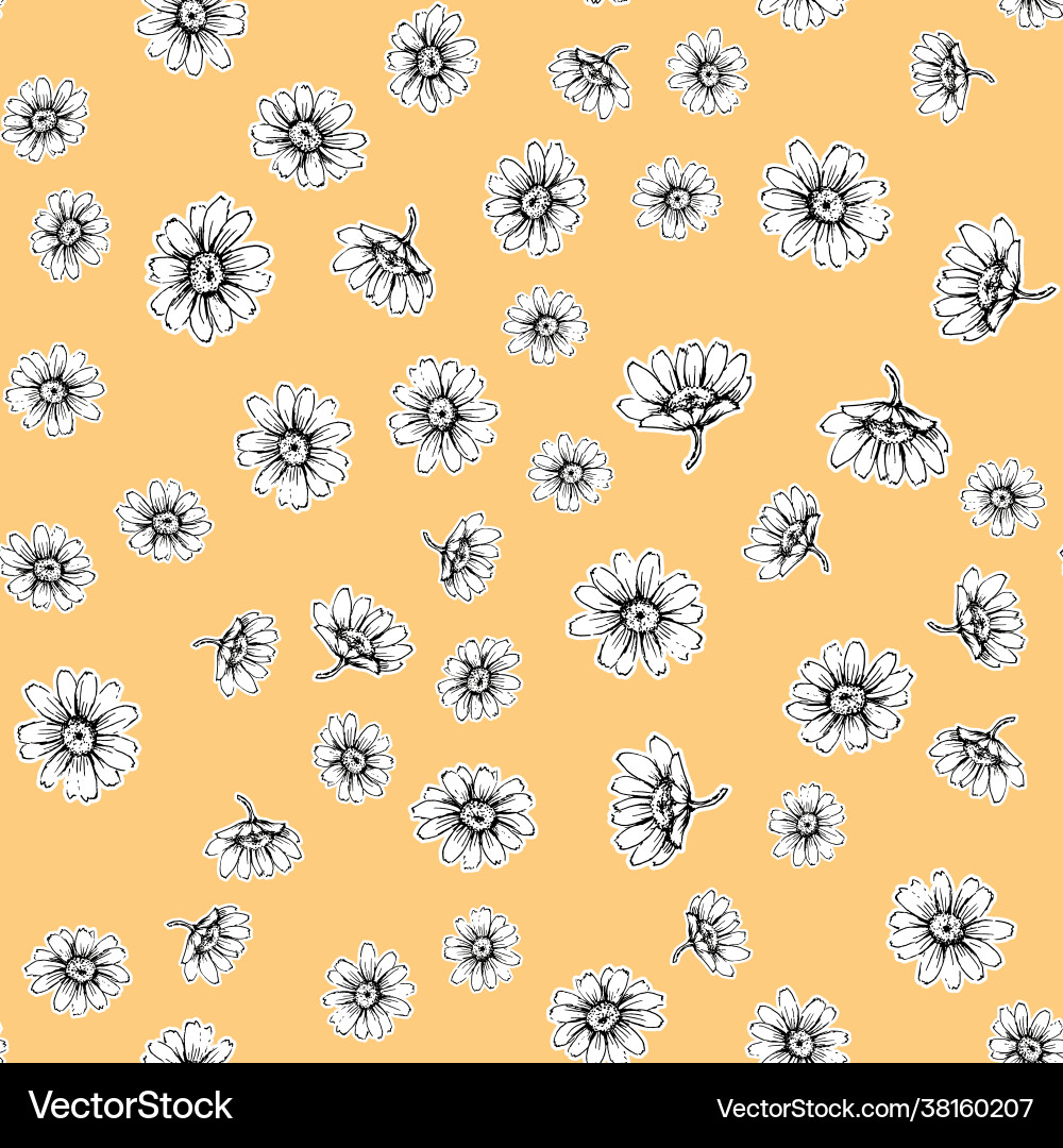 Cute seamless pattern with white chamomiles Vector Image