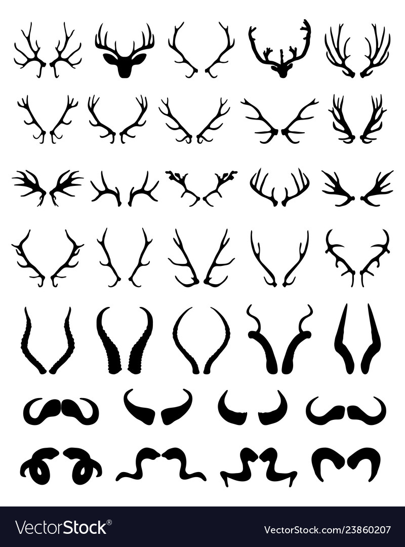 Silhouettes of different horns