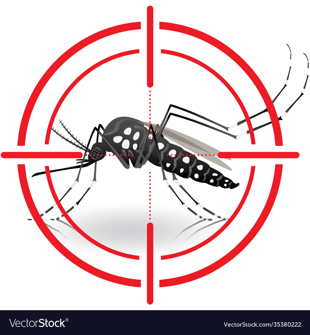 Aedes egyptian mosquitoes with stilt warning Vector Image