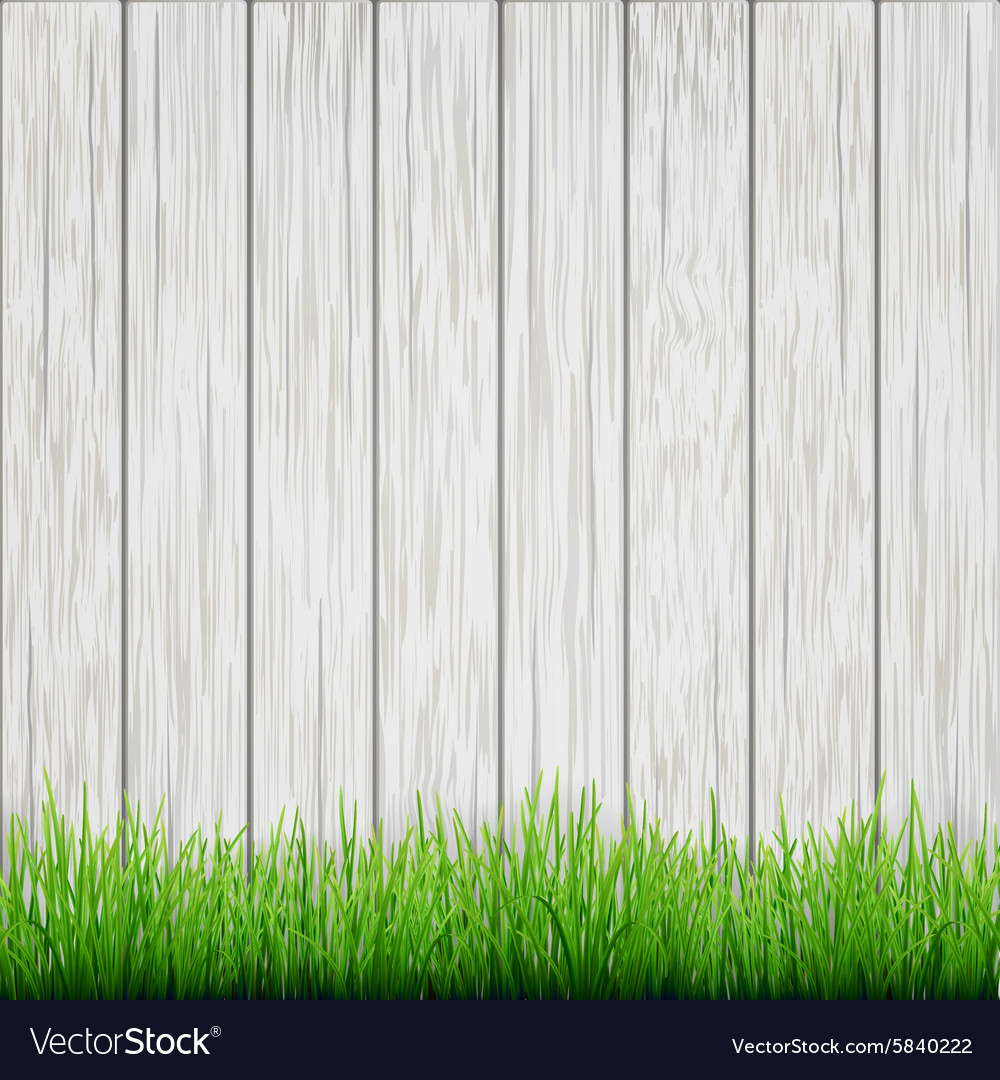 Green grass on white wood boards background