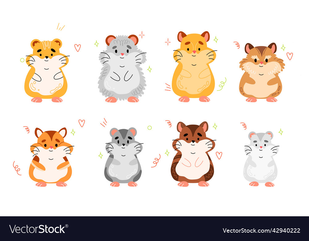 Cute hamster hot sale types