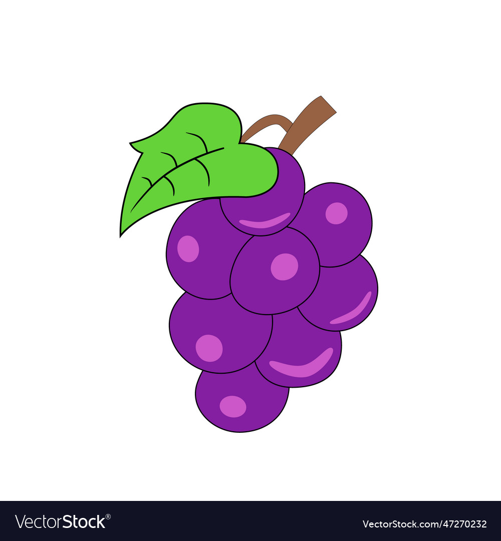 Grapes on white background Royalty Free Vector Image