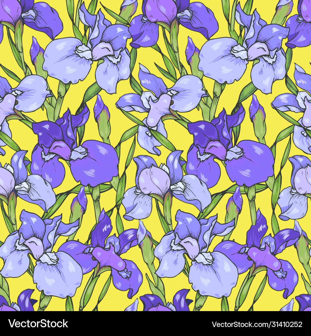 Iris flowers Royalty Free Vector Image - VectorStock