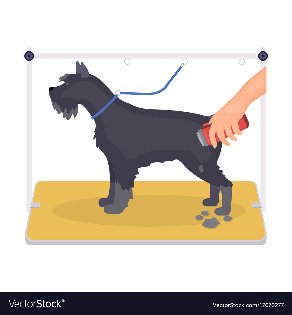 VectorStock