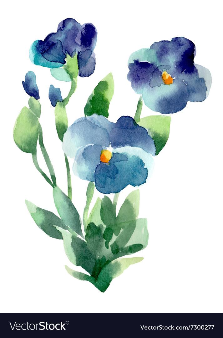 Watercolor violet flower isolated Royalty Free Vector Image