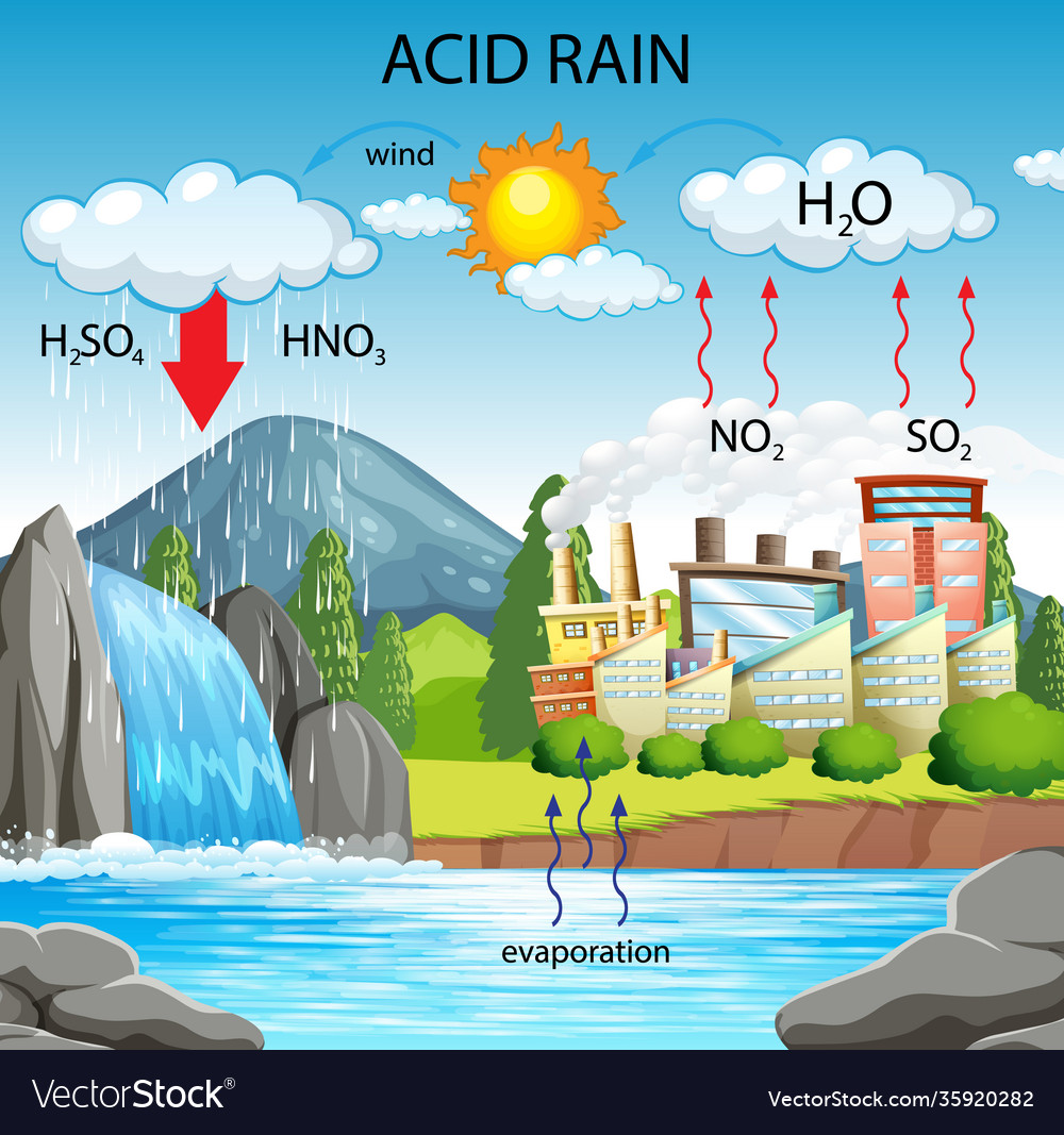 Diagram Showing Acid Rain Pathway Royalty Free Vector Image 0443