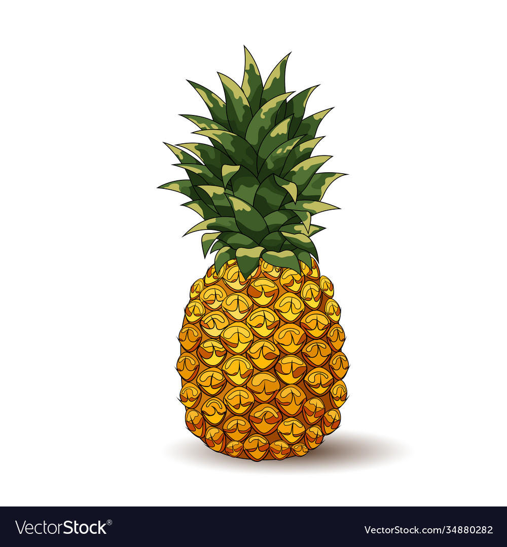 Pineapple Royalty Free Vector Image - VectorStock