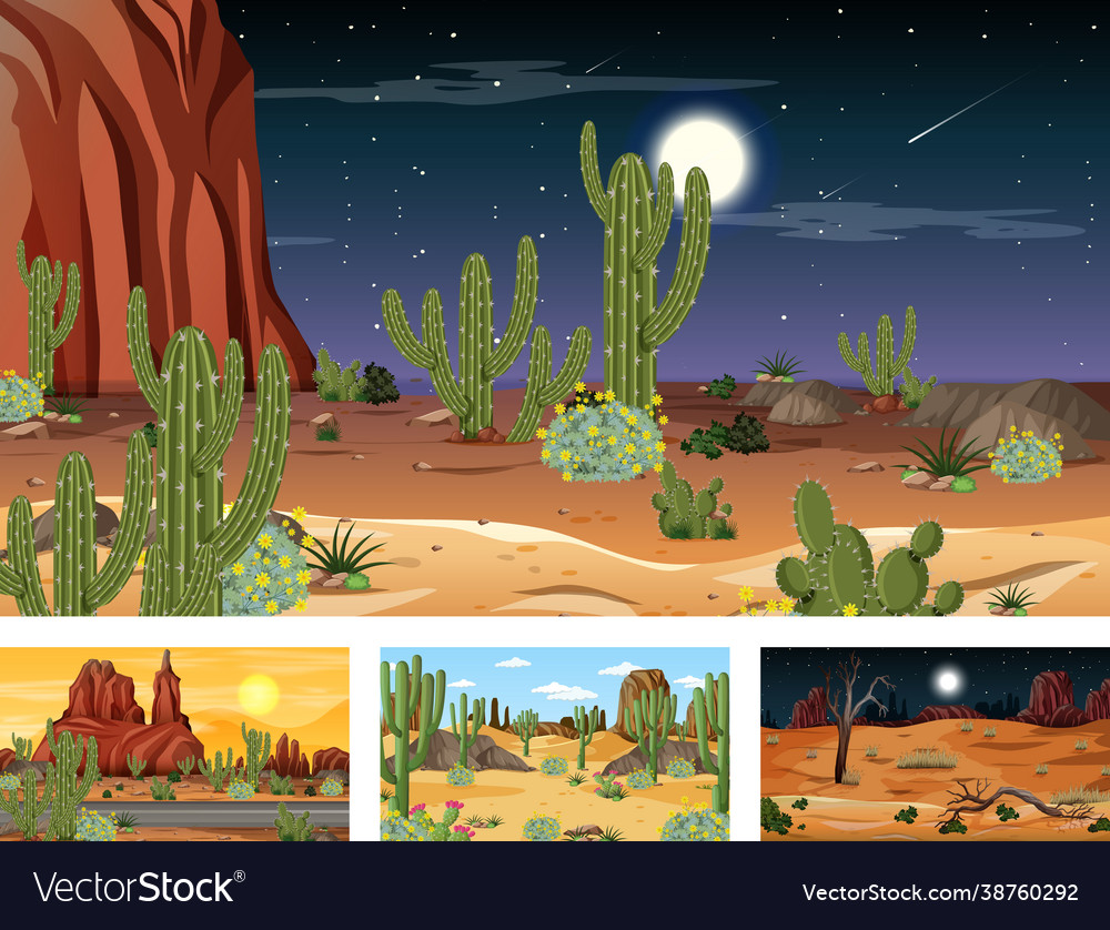 Different desert forest landscape scenes Vector Image