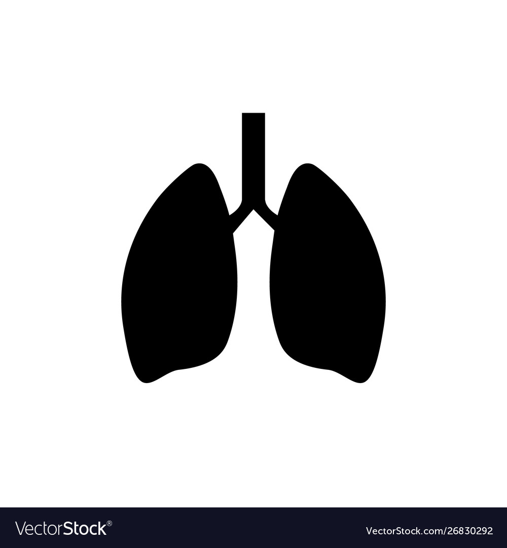 Lung human icon respiratory system healthy lungs Vector Image