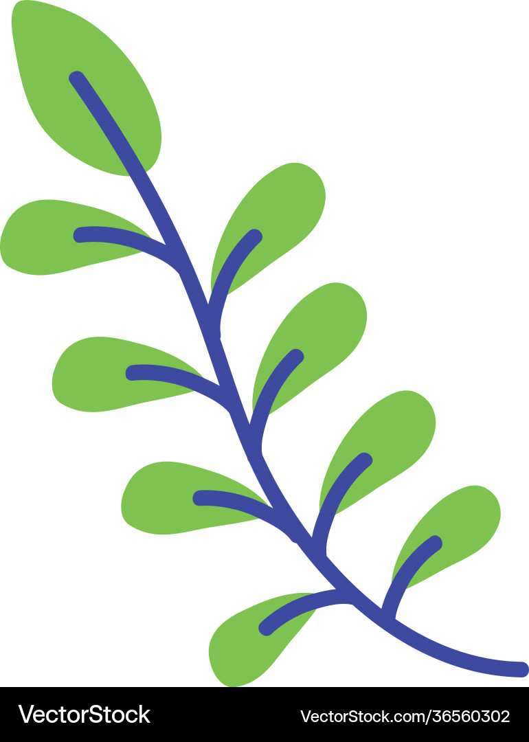 Leafs branch spring Royalty Free Vector Image - VectorStock