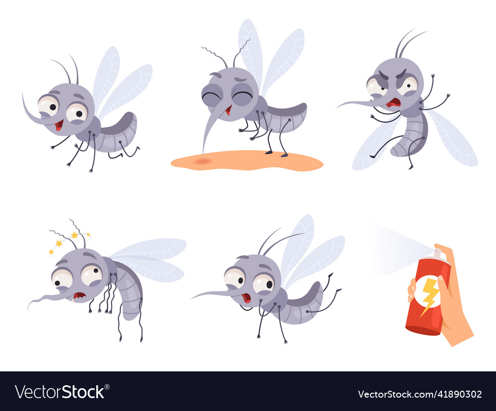 Mosquito cartoon warning flying insects dangerous Vector Image