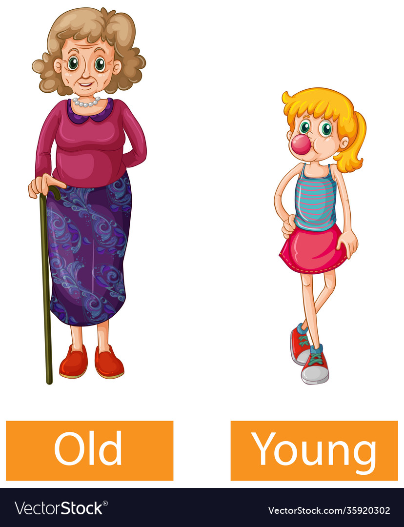 Opposite adjectives words with old and young Vector Image