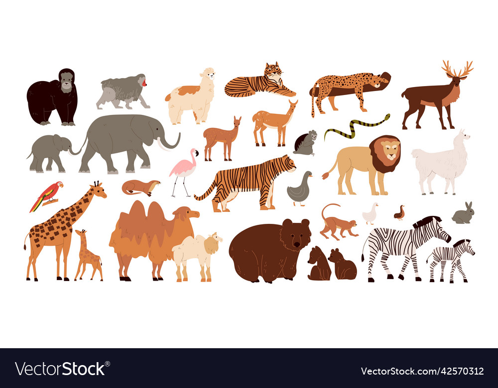 Zoo animals set Royalty Free Vector Image - VectorStock