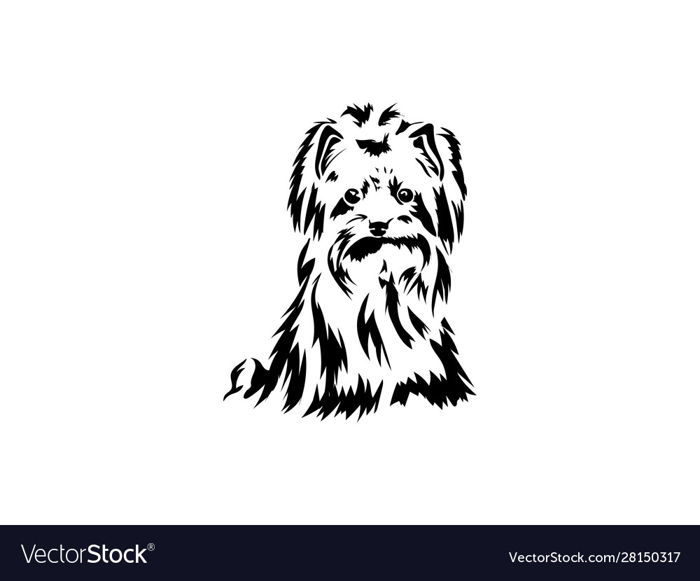 Sketch funny dog yorkshire terrier breed sitting Vector Image