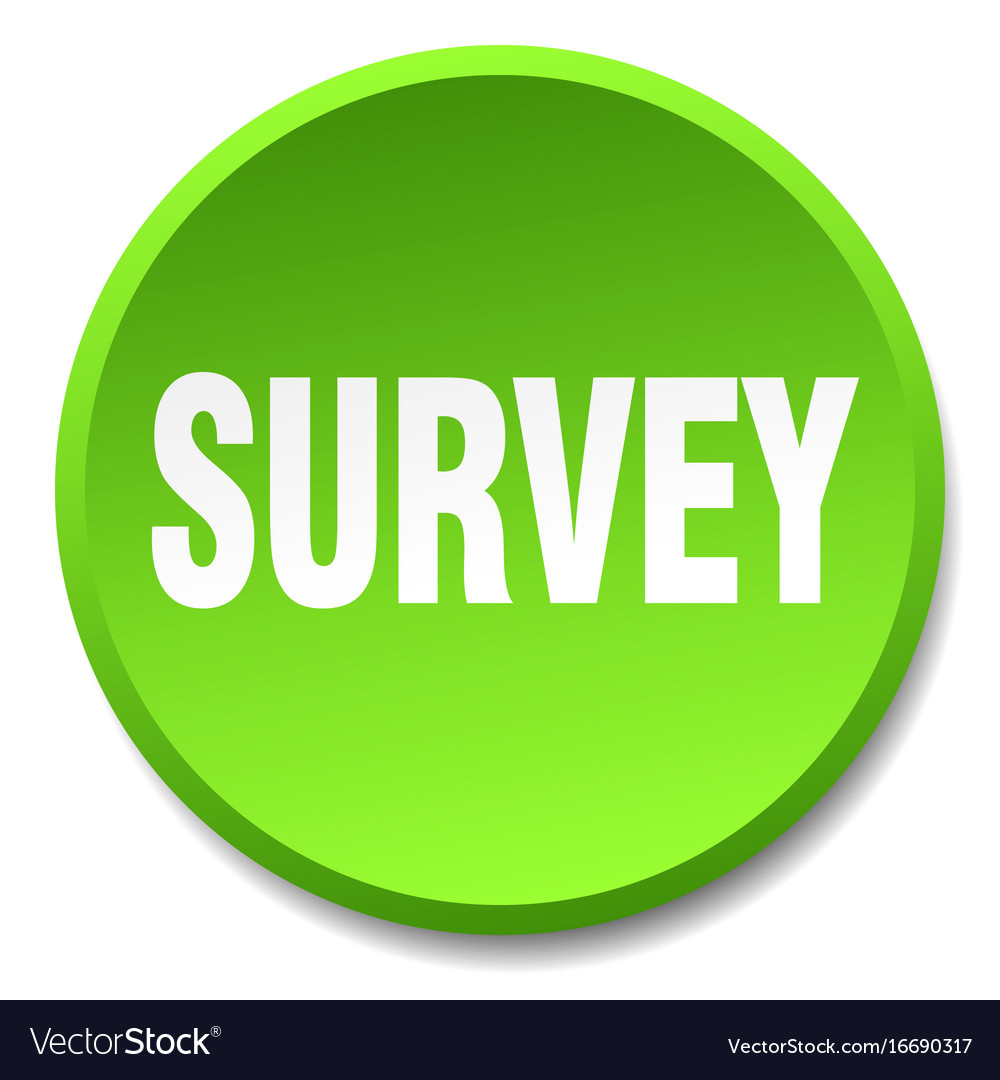 Survey green round flat isolated push button Vector Image