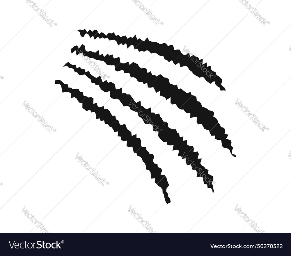 Scratch claw marks tiger bear wolf panther Vector Image