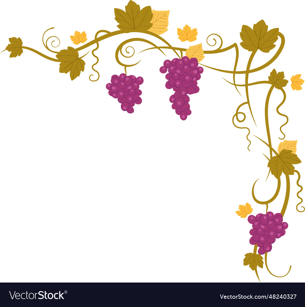 Calligraphy grapes corner frame Royalty Free Vector Image