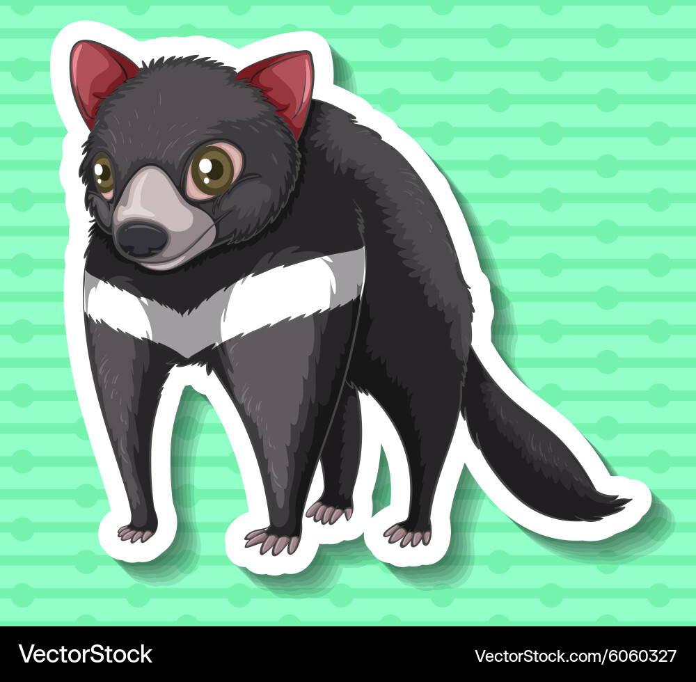 Tasmanian devil standing alone Royalty Free Vector Image
